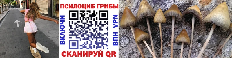 Галлюциногенные грибы ЛСД Черемхово
